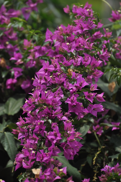 10 - Imagens do CEU.jpg